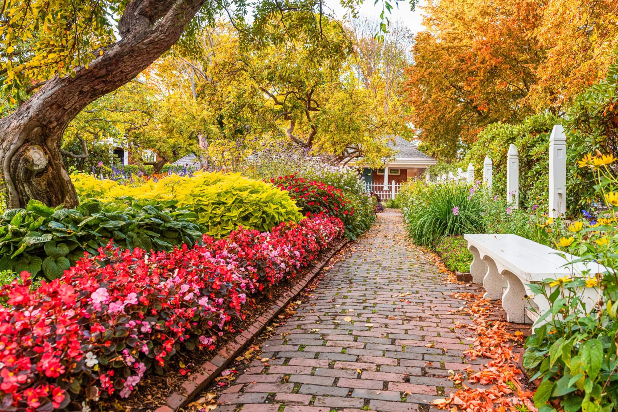 A colorful garden path lined with vibrant red and pink flowers, lush green shrubs, and yellow flowers in full bloom, leading toward a small cottage in the background with trees displaying autumn foliage.