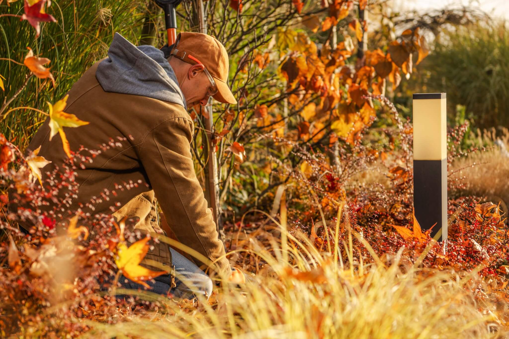 A person in a jacket and a baseball cap is kneeling down and planting flowers in a bed filled with vibrant autumn foliage and dry ornamental grasses.