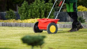 Person using a broadcast spreader to evenly distribute grass seed over a lawn during fall overseeding