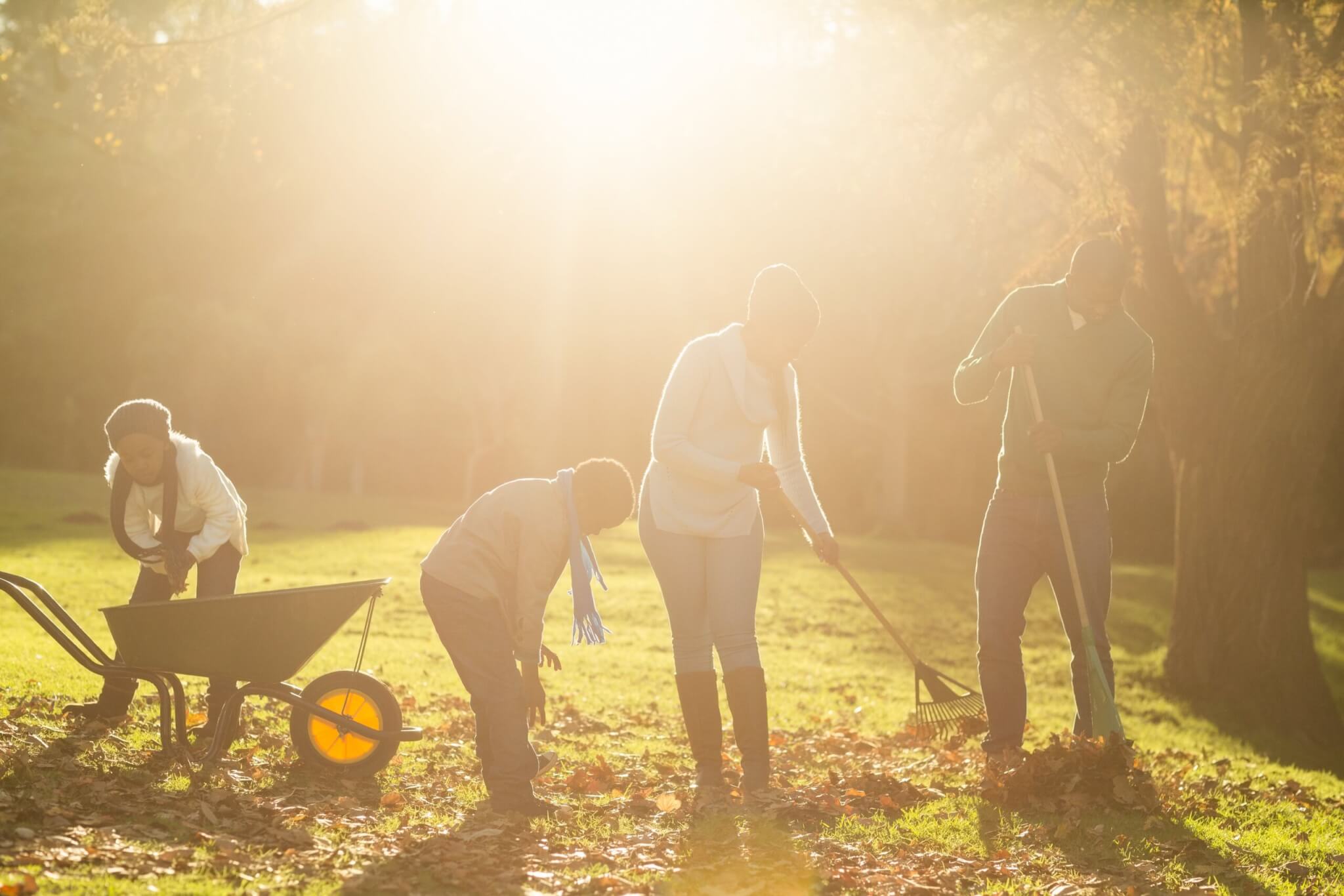 A family, including two adults and two children, raking and gathering fallen leaves in a sunny park with a wheelbarrow.