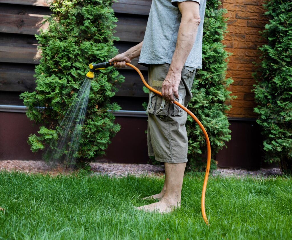 A person holding a hose and watering a green lawn in their yard.