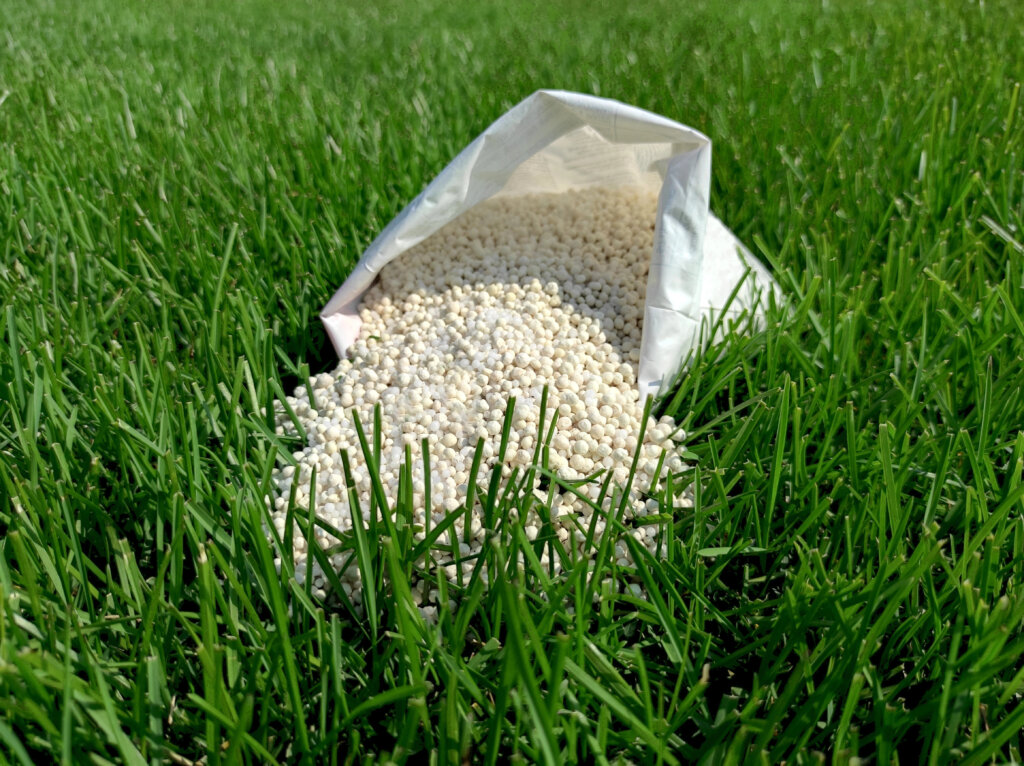 An open bag of white granular fertilizer is tipped over onto a healthy green lawn, highlighting the difference in nutrient density found when comparing different fertilizer numbers.