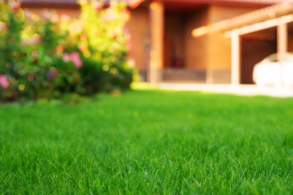 A lush, vibrant green lawn extends toward a bright, sunlit house and driveway, representing the healthy growth achieved with high-nitrogen grass fertilizer 20 10 10.