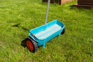 A close-up of a teal walk-behind spreader filled with light gray granular fertilizer on a bright green lawn, representing the application of grass fertilizer 20 10 10.