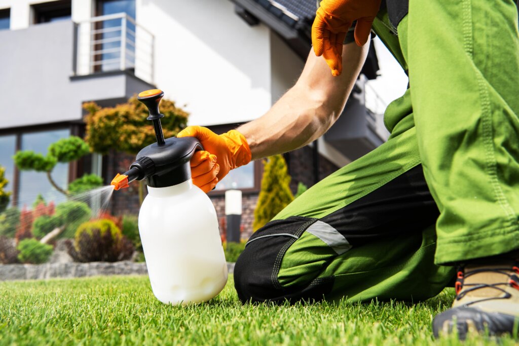 A person kneeling on a bright green lawn, spraying a fine mist from a small, white handheld sprayer with an orange nozzle, illustrating the application of liquid lawn fertilizer.