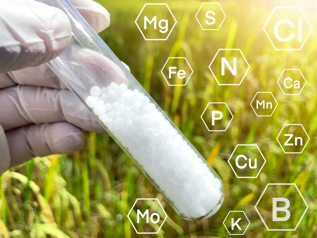 A hand in a white surgical glove holds a clear test tube filled with white granular fertilizer, with chemical element symbols (N, P, K, etc.) overlaid on a sunny green field, symbolizing the science of Nitrogen, Phosphorus, and Potassium Lawn Fertilizer.