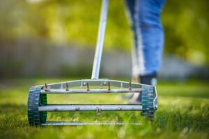 A close-up of a manual rolling spike aerator being used on a green lawn by a person in blue jeans, demonstrating a common method for when to aerate lawn.