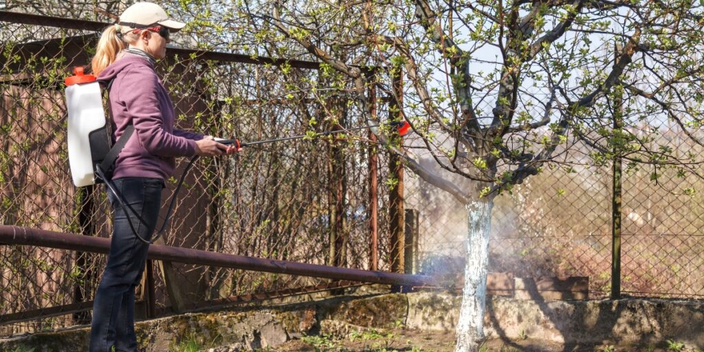 A person in casual spring clothing uses a backpack sprayer to apply pest control treatment along the trunk of a small backyard tree.