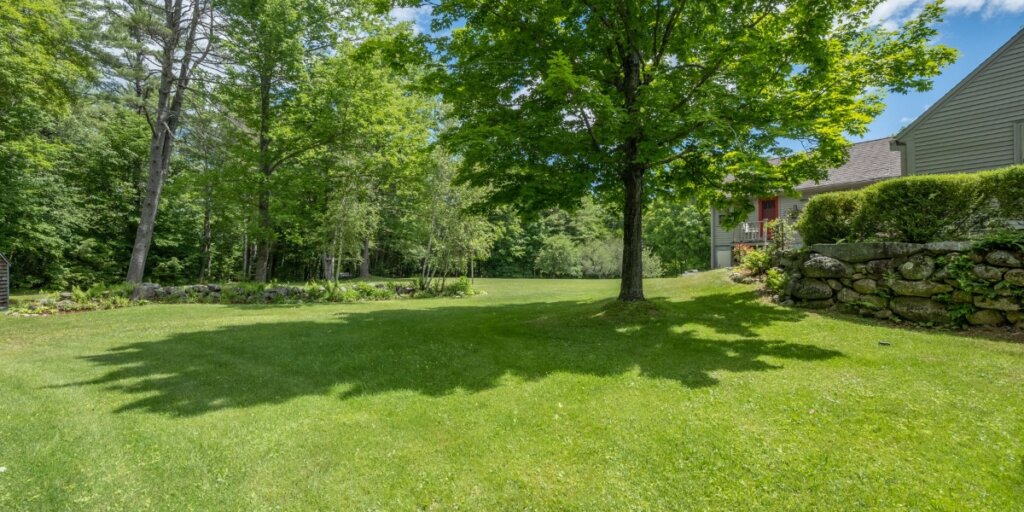 A manicured suburban backyard lawn meeting a dense tree line with a low stone wall along the edge on a sunny day.