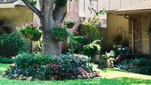 A well-maintained suburban front yard with a mature shade tree, lush flower beds, and hanging baskets.