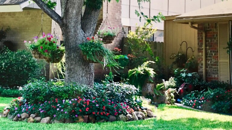 A well-maintained suburban front yard with a mature shade tree, lush flower beds, and hanging baskets.