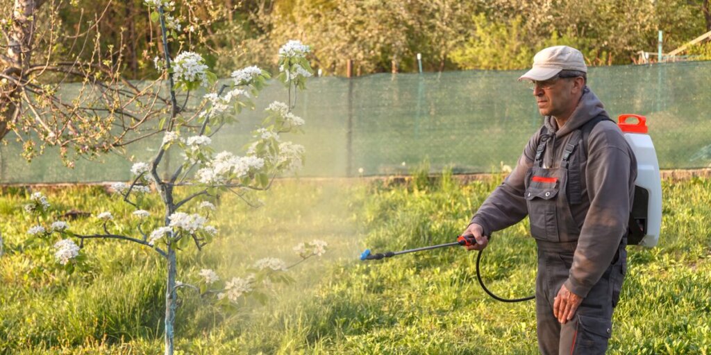 A man in overalls and a cap spraying a flowering tree with a backpack sprayer in a sunlit yard