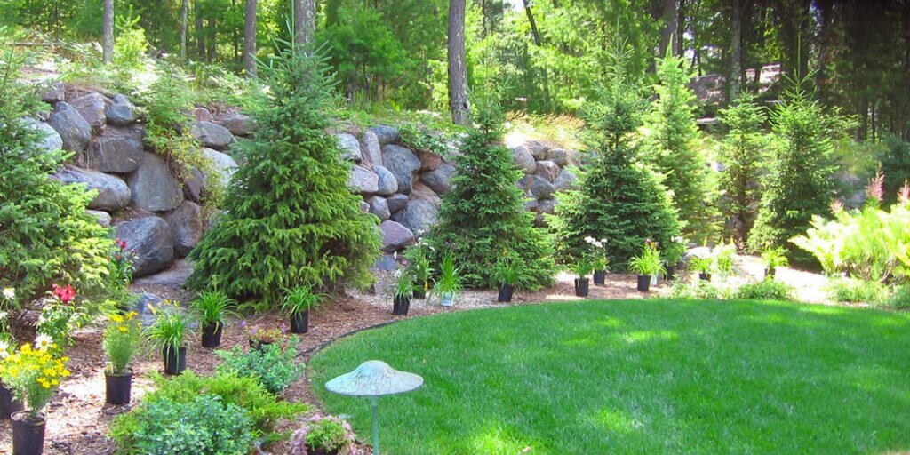 A shaded backyard bed of young evergreens and potted plants running along a stacked stone wall, with open sunny lawn just beyond it