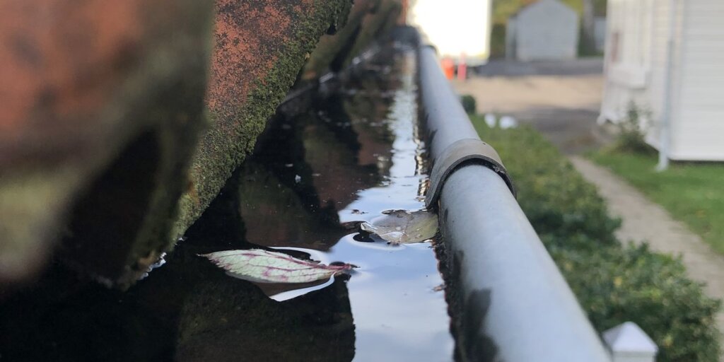 A clogged roof gutter holding a pool of standing water with a couple of fallen leaves floating in it