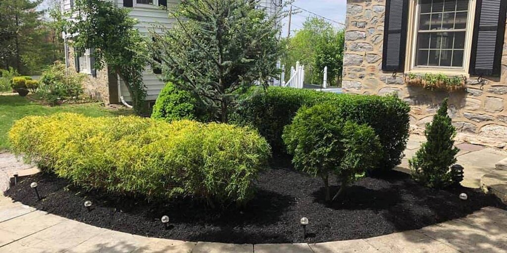 A dark, freshly mulched foundation bed with trimmed shrubs and a small evergreen sits along a stone home's walkway, with landscape lights tucked along the edge.