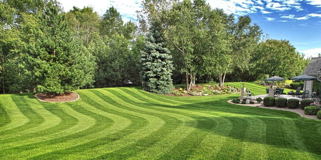 Sunlit striped lawn with a round mulched tree ring, layered garden beds, and a patio with umbrellas tucked along the tree line.