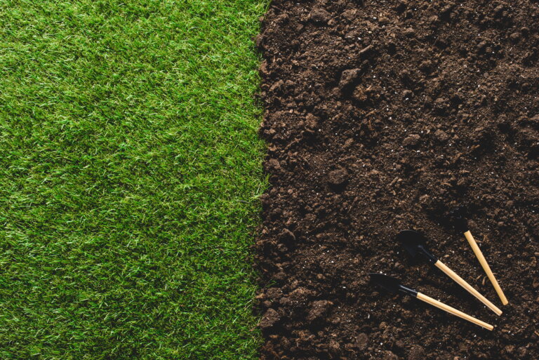 An overhead shot looking straight down at a yard. The left half is a full, vibrant green lawn. The right half is dark, rich, clumpy soil. Near the bottom right corner, three small gardening hand tools are resting on the dirt.