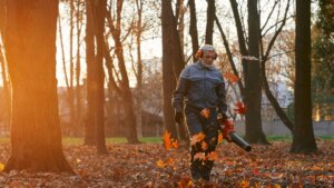 An older man in work coveralls clears a path through fallen leaves with a leaf blower in a sunlit autumn park, leaves swirling around him.