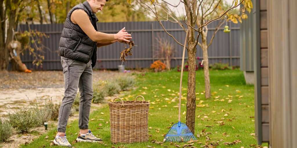A smiling man drops a handful of dead leaves into a woven basket in his backyard, a rake leaning against a young tree beside him.