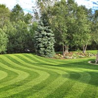 Terra - Lawn Care - 1