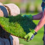 Natural Grass Turf Check Before Installation in a Garden.