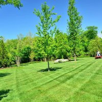 lawn-care-lawn-maintenance-lawn-services-grass-cutting-lawn-mowing