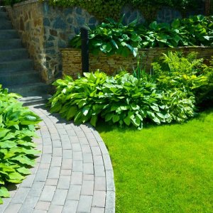 Garden stone path with grass growing up between the stones.Detail of a botanical garden.